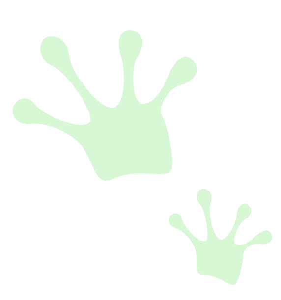 Frog Brindes